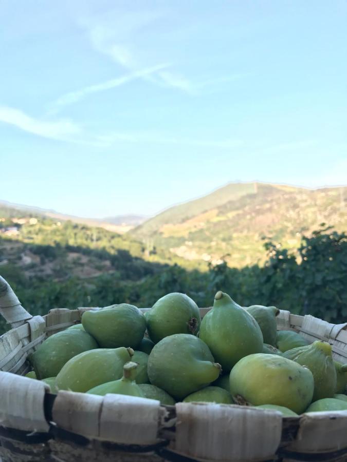Private Douro- Quinta Das Susandas Mesão Frio Dış mekan fotoğraf