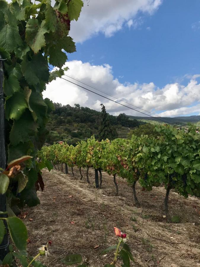 Private Douro- Quinta Das Susandas Mesão Frio Dış mekan fotoğraf