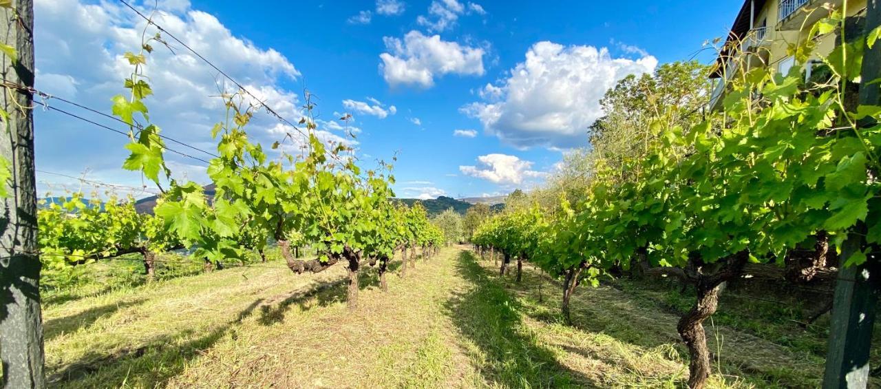 Private Douro- Quinta Das Susandas Mesão Frio Dış mekan fotoğraf