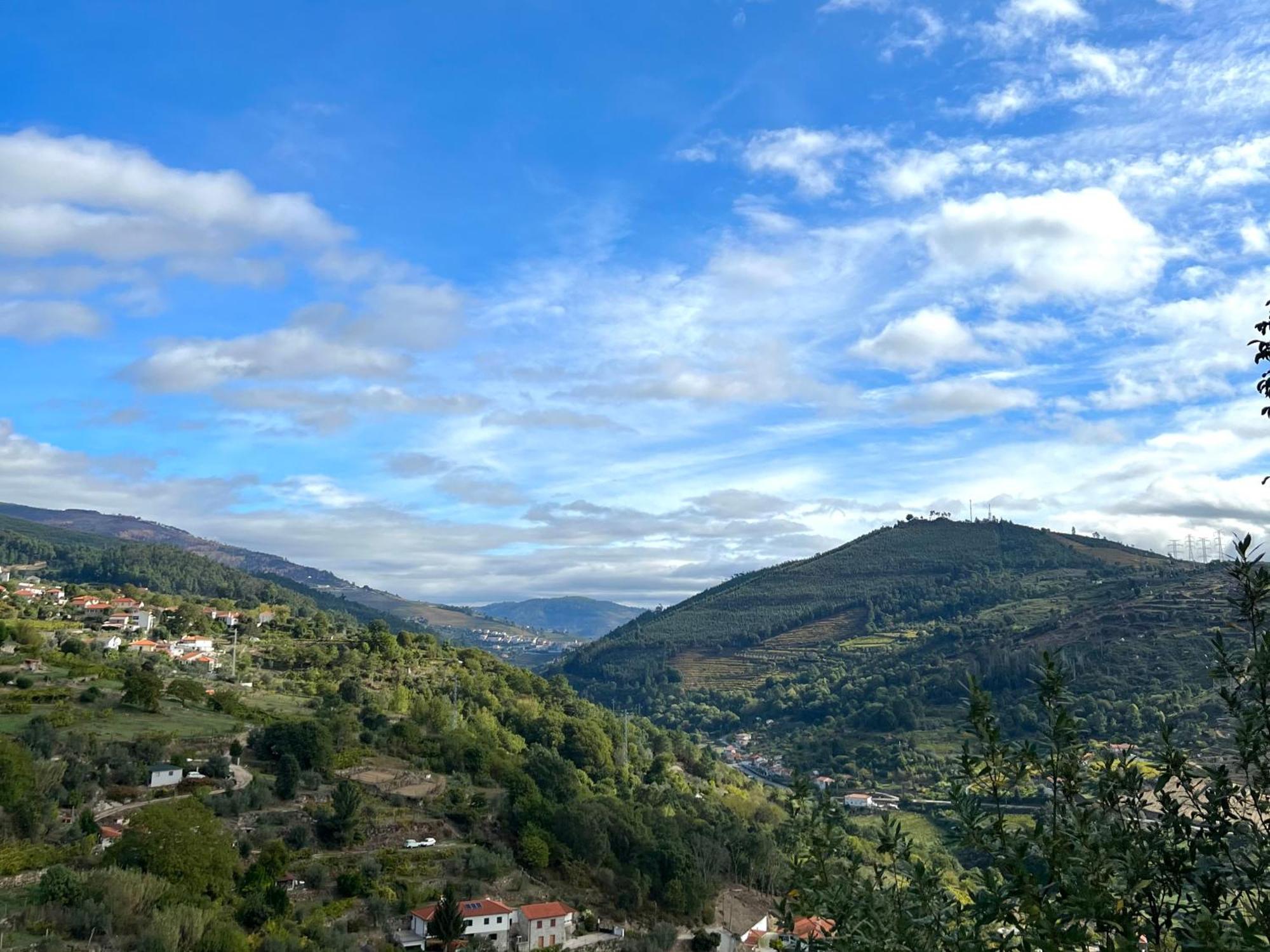 Private Douro- Quinta Das Susandas Mesão Frio Dış mekan fotoğraf
