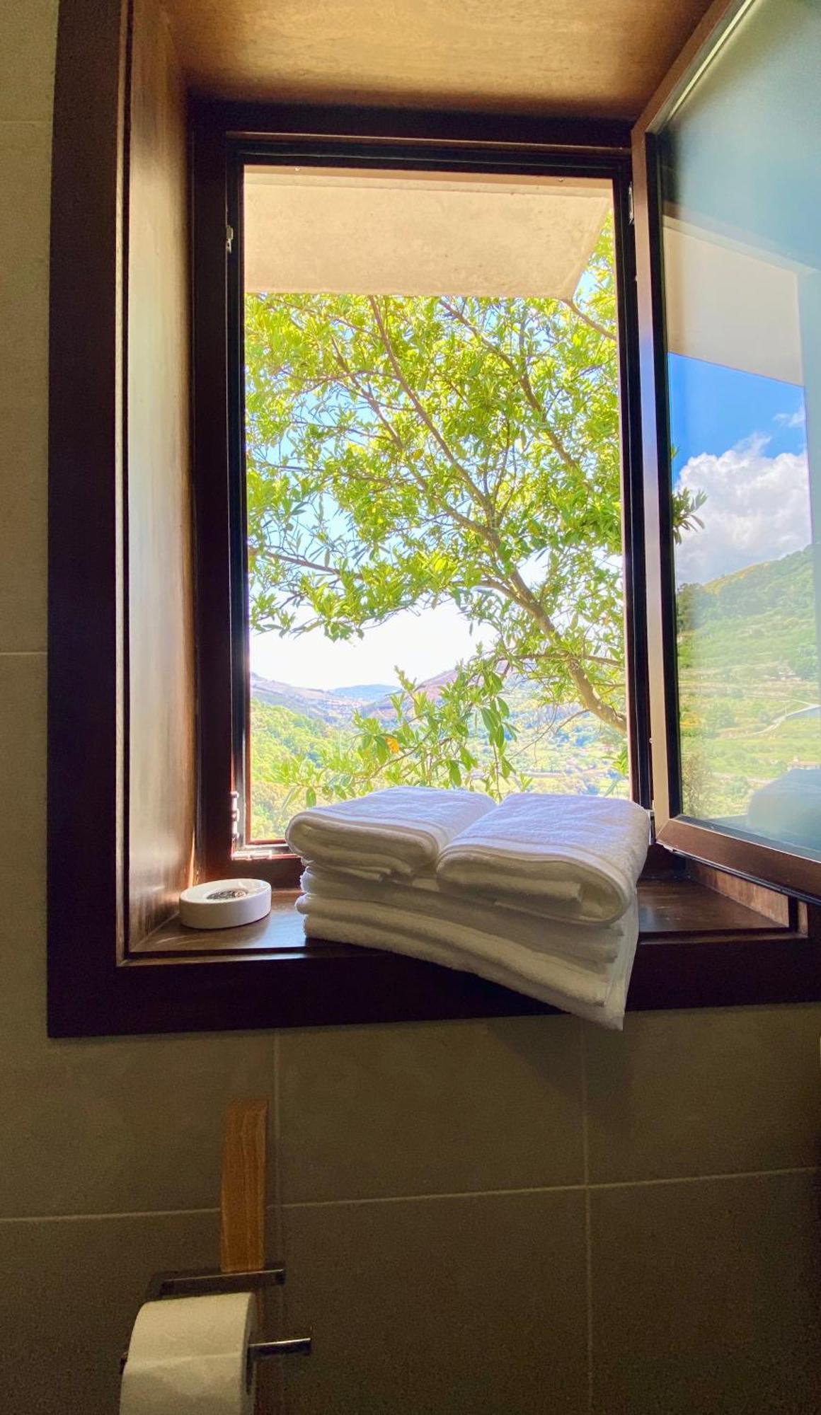 Private Douro- Quinta Das Susandas Mesão Frio Oda fotoğraf