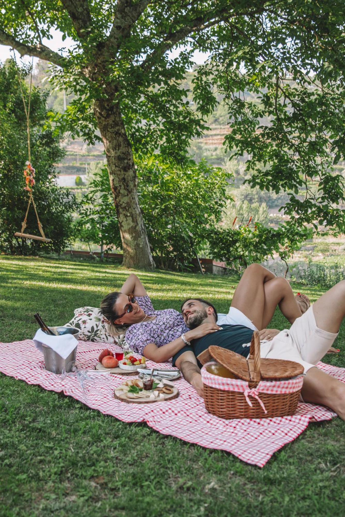 Private Douro- Quinta Das Susandas Mesão Frio Dış mekan fotoğraf